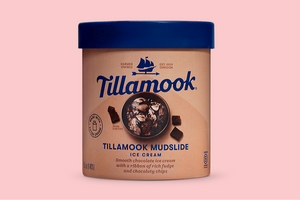 Tillamook Mudslide Ice Cream 