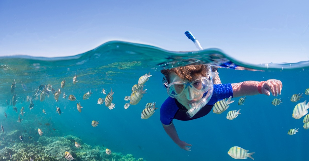 Snorkeling And Dive Sites That Are