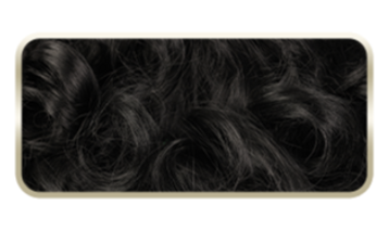 2026_SK_pqQ1---3-personalityAnswer