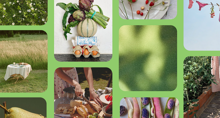 A moodboard of a garden-to-table aesthetic, showcasing greenery, picnic scenes, and close ups of fruit and vegetables.