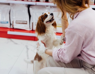 Get Ethical With Your Pet Products