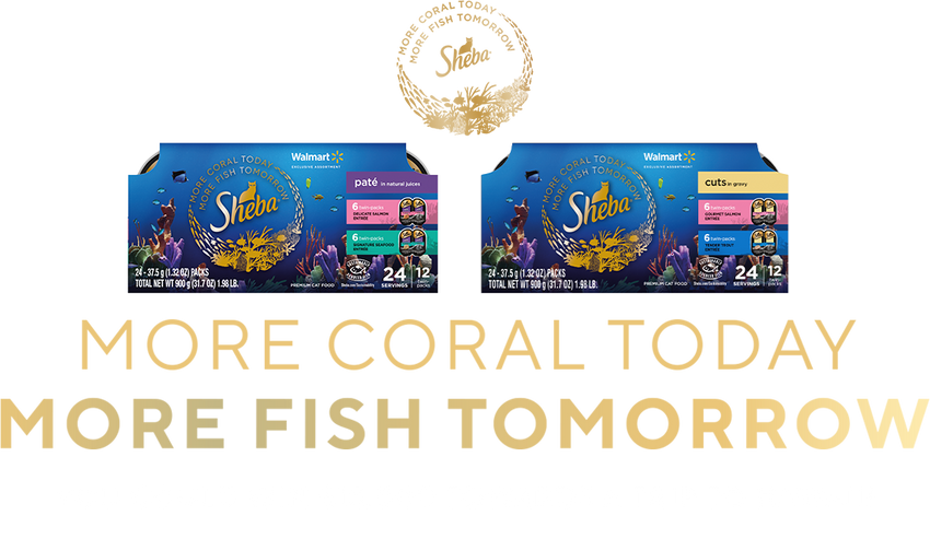 More Coral Today, More Fish Tomorrow