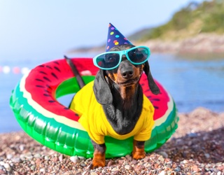 What’s Your Summer Pick?