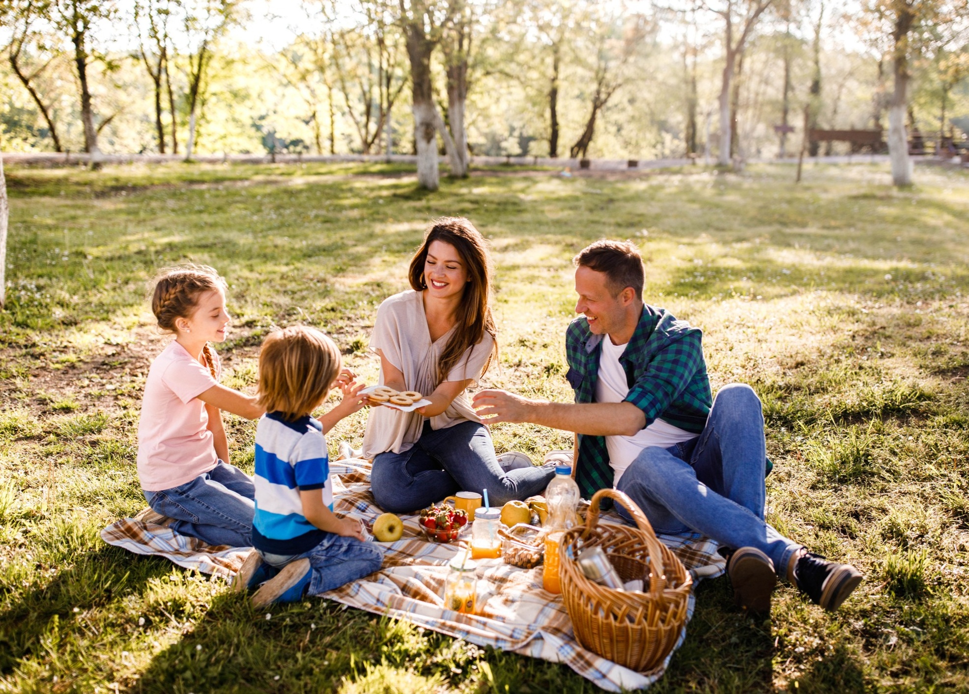 Family picnic