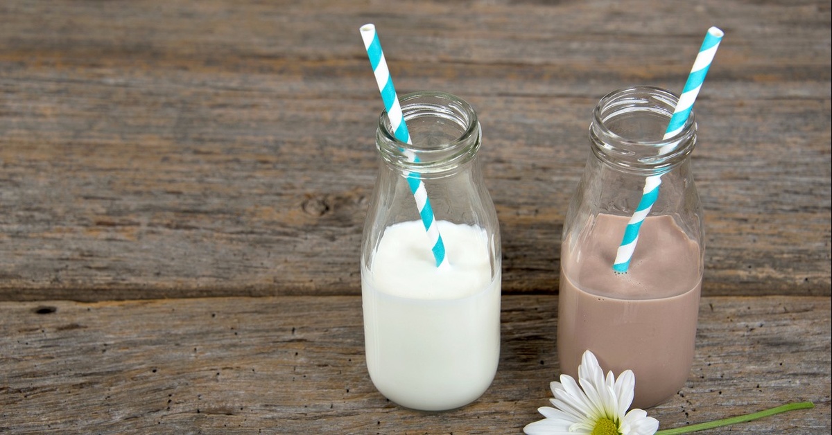 Get Yourself Chocolate (Milk) Wasted on This Memory Match Dailybreak