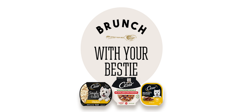 Brunch With Your Bestie