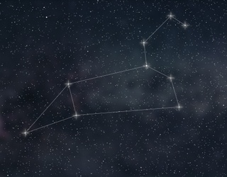 How Much Do You Know About the Leo Zodiac Sign?