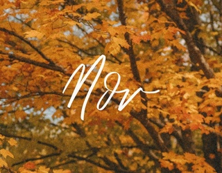 Good treats for good dogs