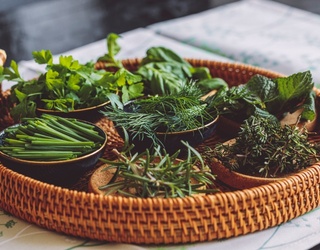Let's Add A Little Zest With 11 Herbaceous Recipes