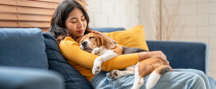 iStock-2163164187-pollQuestion