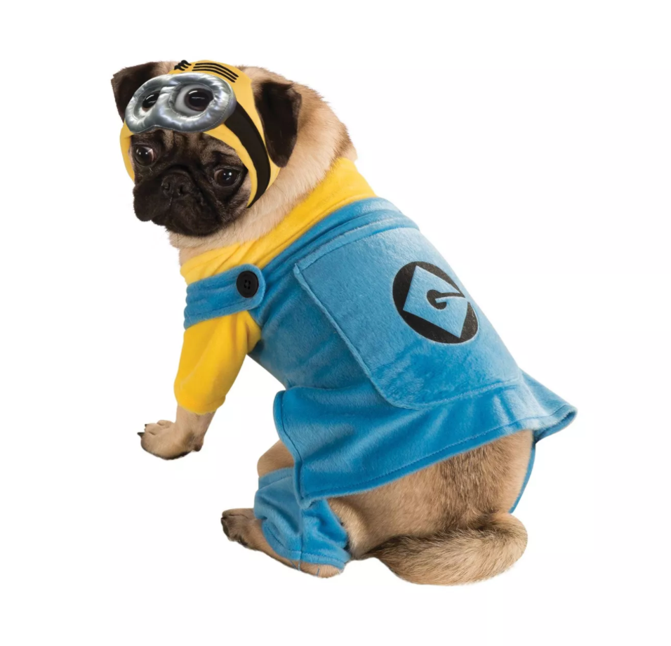 minion dog costume