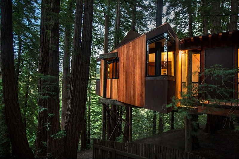 tree house-custom