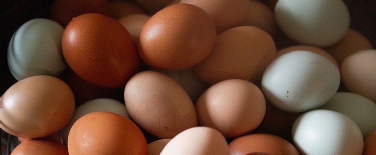 iStock-1201317246-pollQuestion