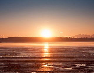 How Should You Celebrate The Summer Solstice?