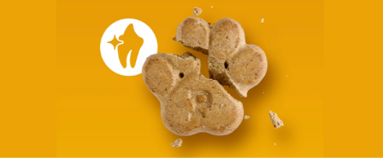 2025_pedigree_trivia_v2_question-1-triviaAnsweredImage