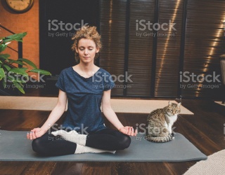 Catwalk or Cat-astrophe: What's Your Delectables™ Parenting Style? 