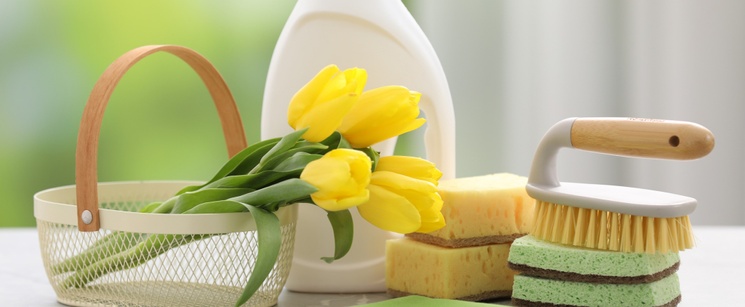 Let's Talk Spring Cleaning 