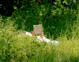 Which Classic Novel Belongs in Your Beach Bag?