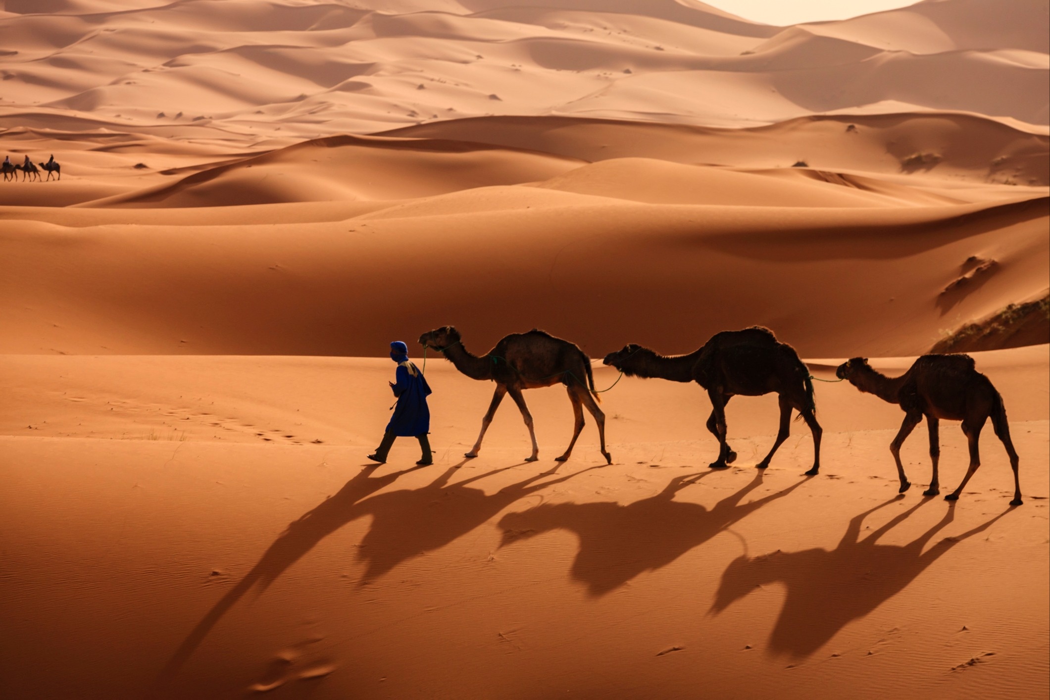 GettyImages-2216121197-custom