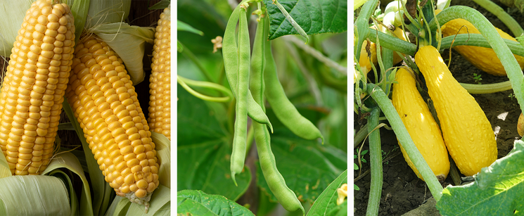 2025_NAHMTrivia2_question-5-response-triviaAnsweredImage