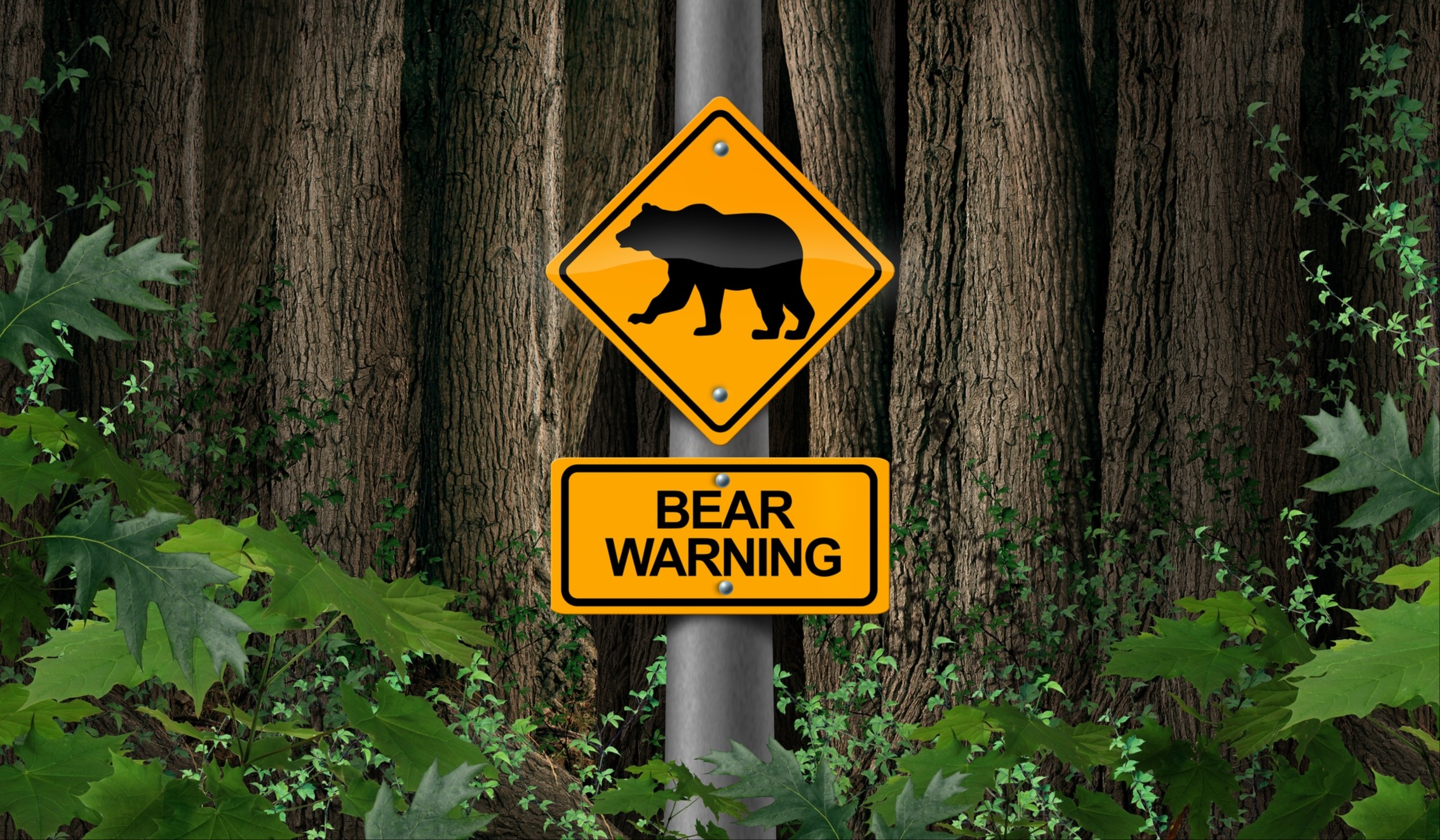 Bear Warning sign