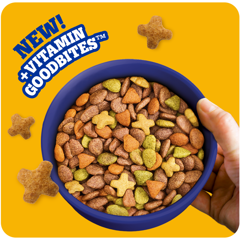 Person holding dog bowl filled with kibble 