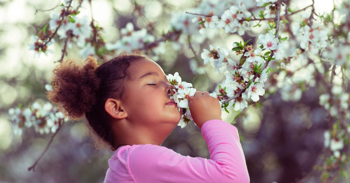 Can You Make Sense of the Science of Smell? Dailybreak