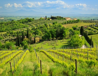 Take a Trip to Tuscany With This Puzzle