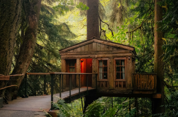 treehouse point-custom