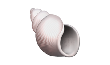 2024_WC_pq_1-personalityAnswer