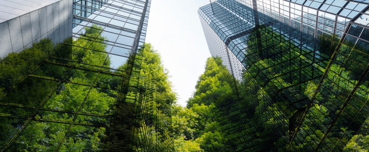 How Do You Live Sustainably?