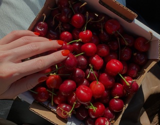 8 Cherry-Picked Songs That Bring the Sweet and Sour