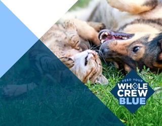 Feed Your Whole Crew BLUE