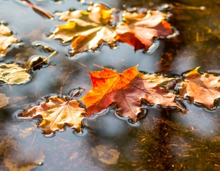 Storm Into the Autumn Season