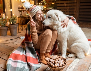12 Days of DIY Holiday Pet Treats