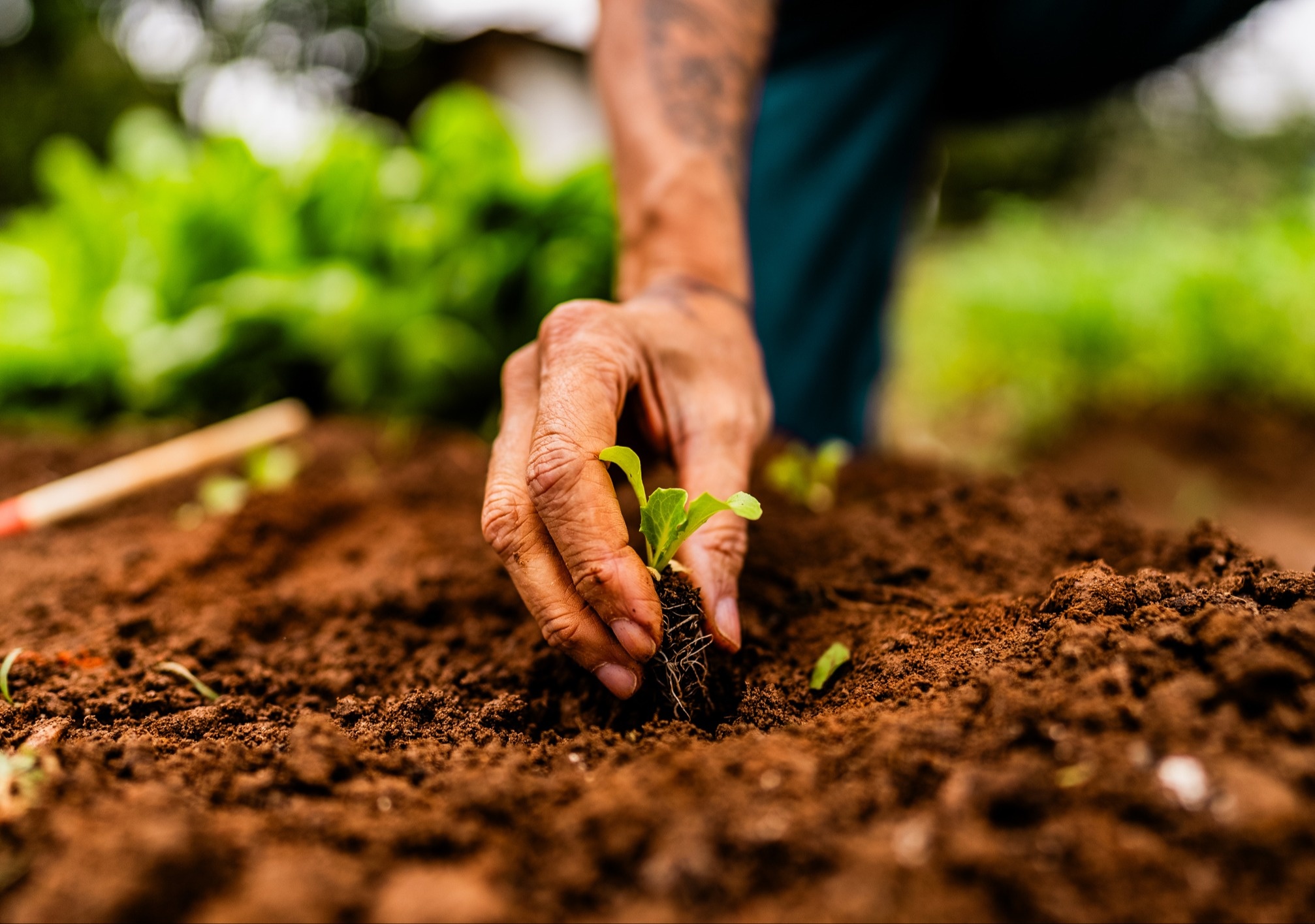 GettyImages-2160078318-custom