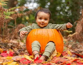 Match the Cutest Pumpkins in the Patch
