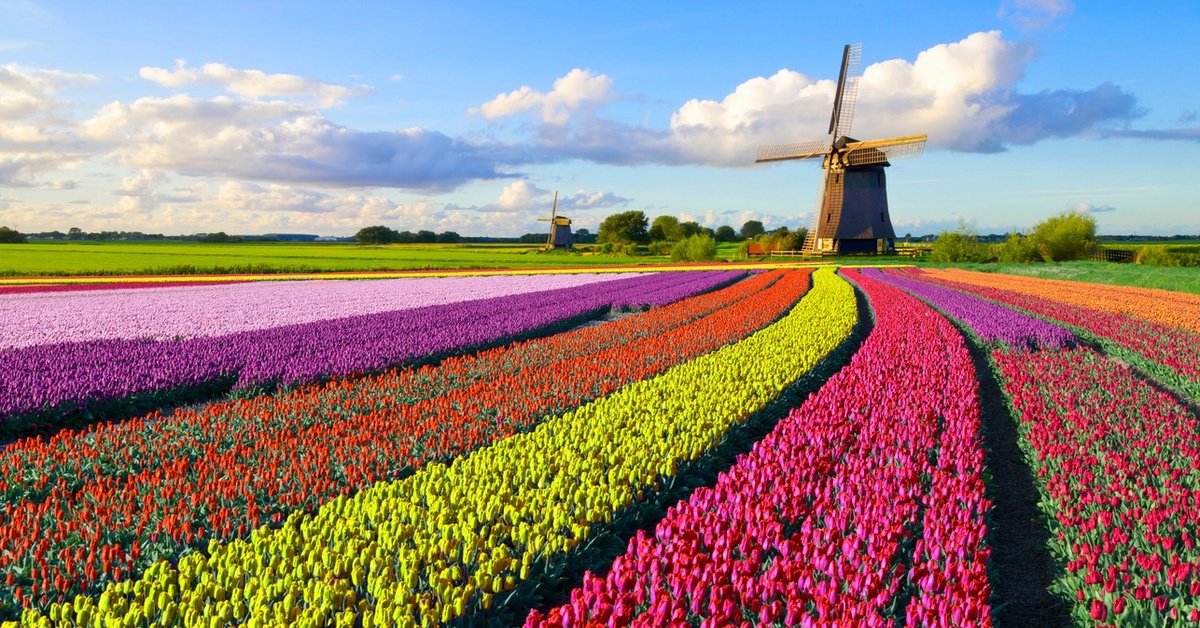 These 10 Flower Farms Are InstagramReady Dailybreak