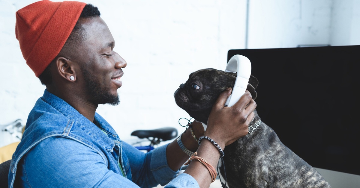 Tell Us About Your Pet & We'll Start Their Spotify Playlist - Dailybreak