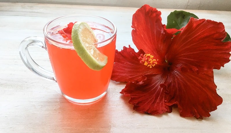 hibiscus-tea-custom