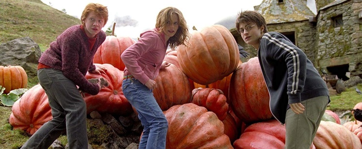 harry potter and the prisoner of azkaban-pollQuestion