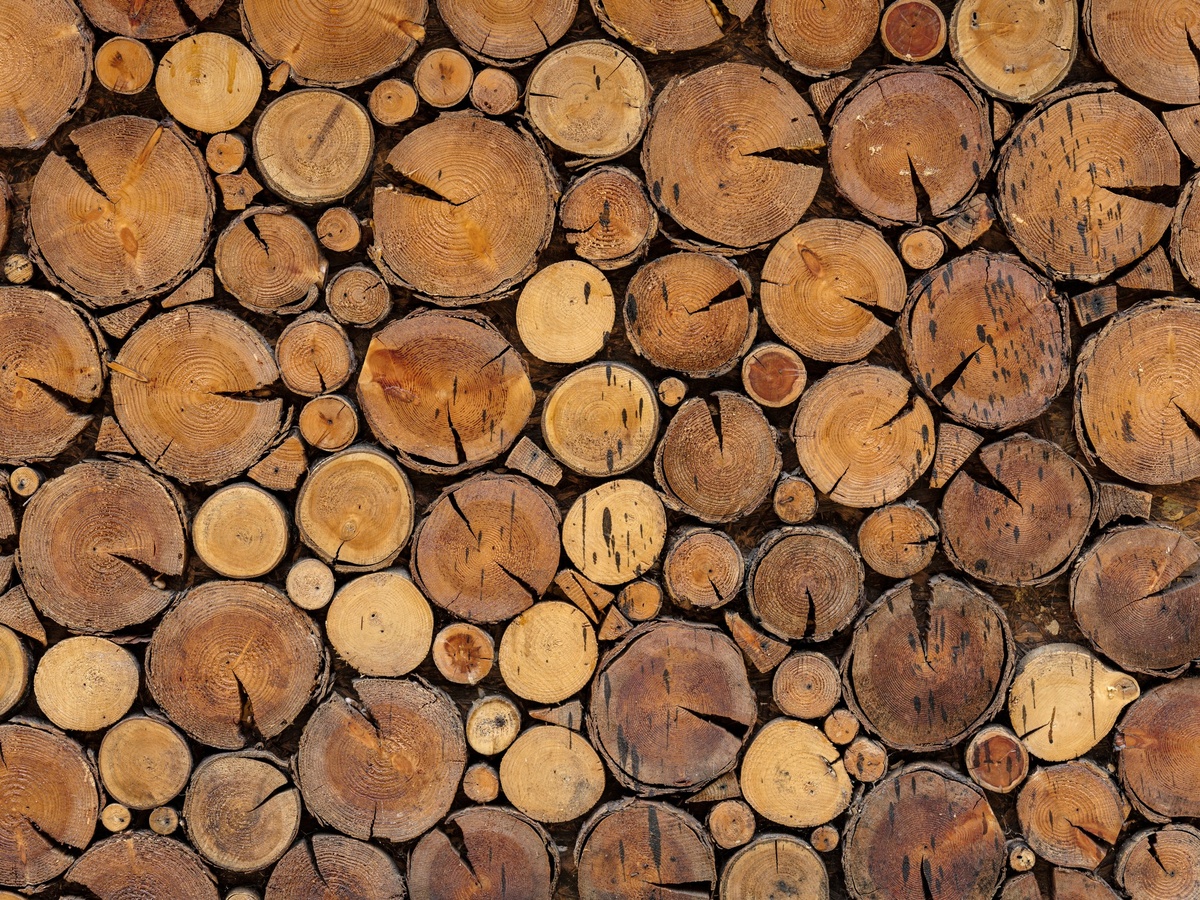 Don t Start Any Fires While Solving This Firewood Puzzle Dailybreak