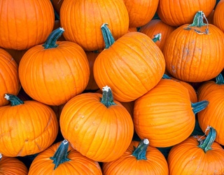 Kick Off Pumpkin Spice Season With a Gourd-geous Puzzle