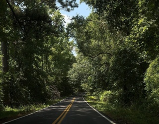 Boost Your Heart Health With These 5 Easy Tips