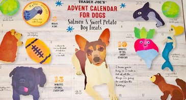 dog advent calendar