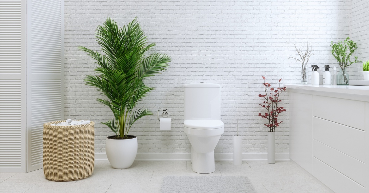 Why Is a Toilet Sometimes Called "the John"? Dailybreak