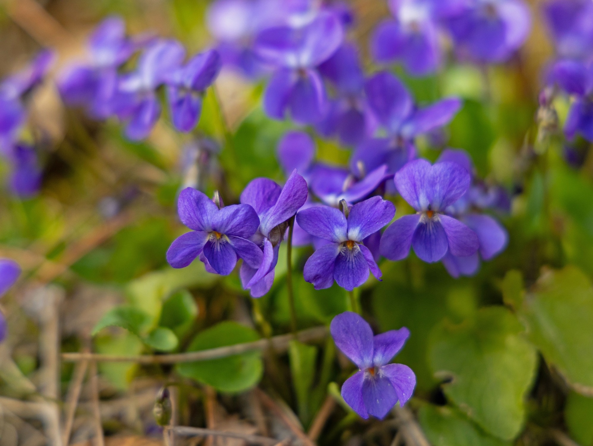 GettyImages-2094765586-custom