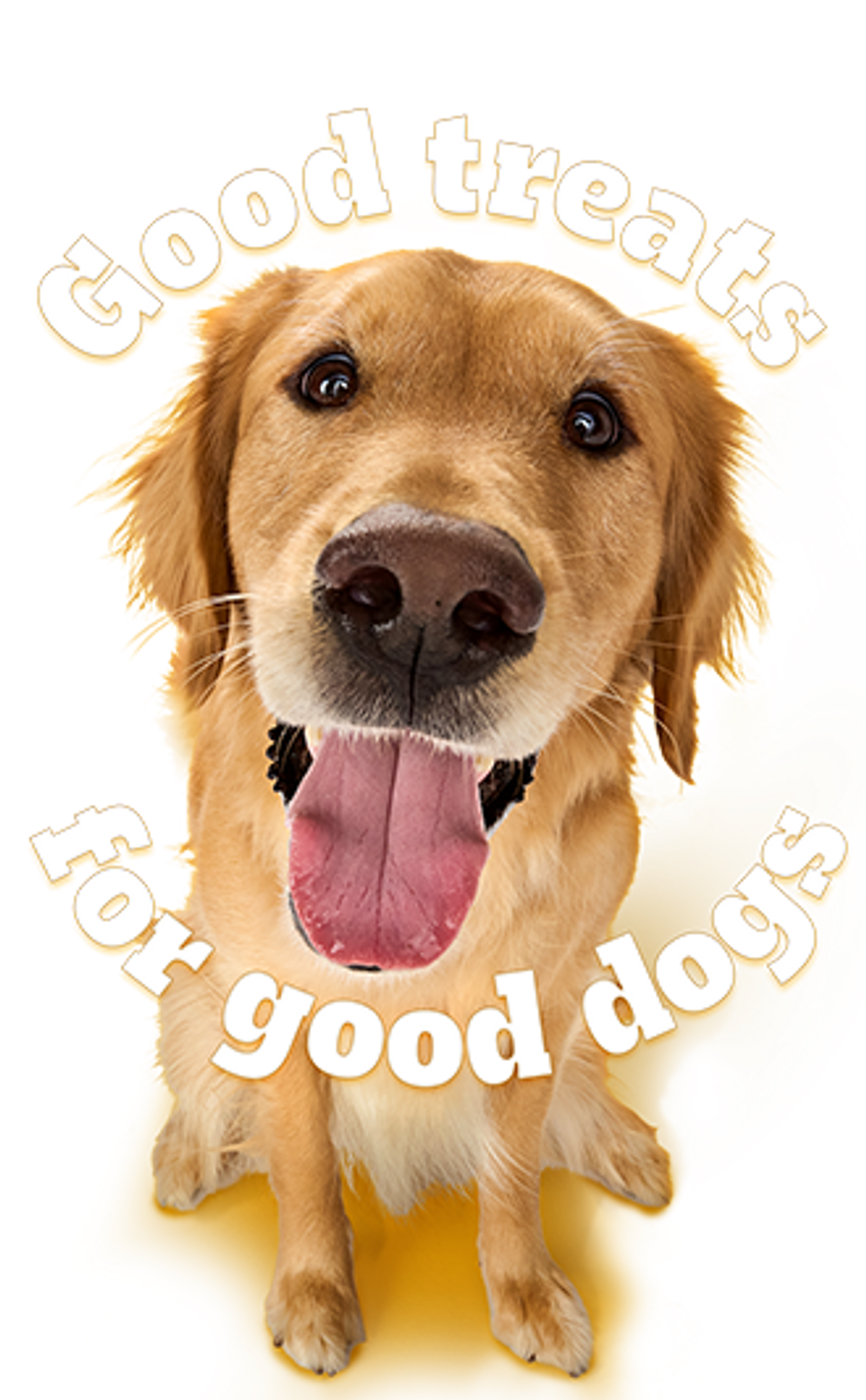 Good treats for good dogs