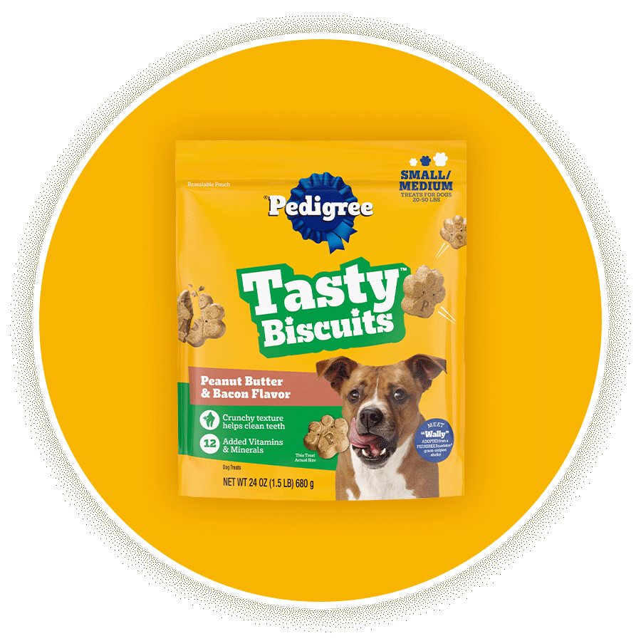 2025_pedigree_list_v2-__GIF__