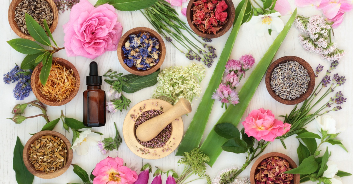 Wellness Supplements That Actually Work Dailybreak